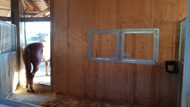 stall-mettlenhof_Auslaufboxe