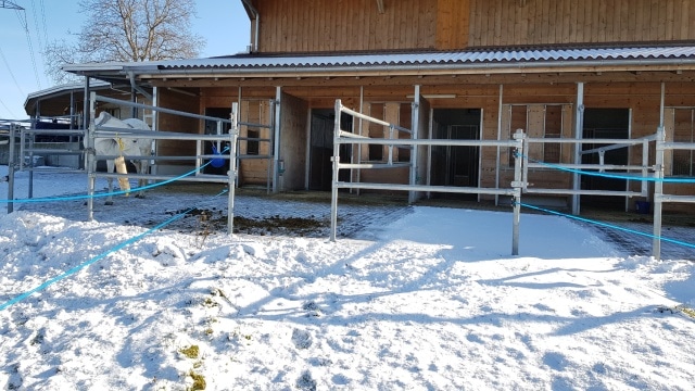stall-mettlenhof_Auslaufboxe_direkter_Weidezugang